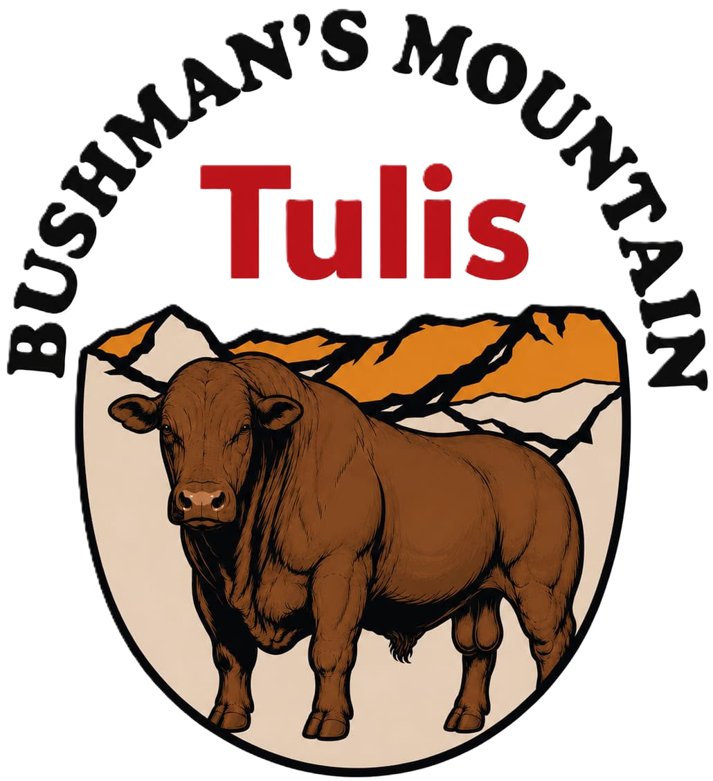 Bushmans Mountain Logo